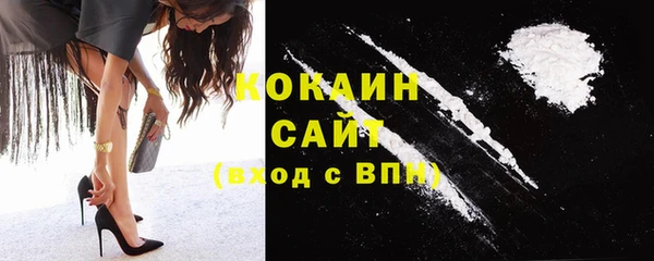 молекула духа Горно-Алтайск