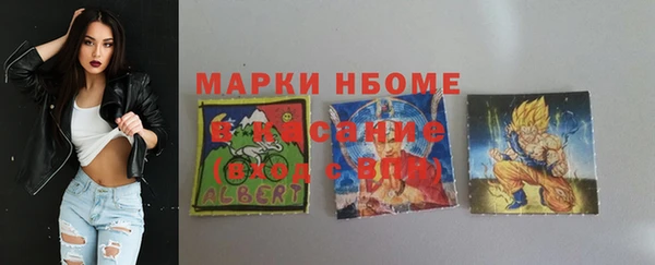 бошки Горняк