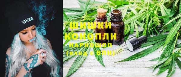 тгк Горнозаводск